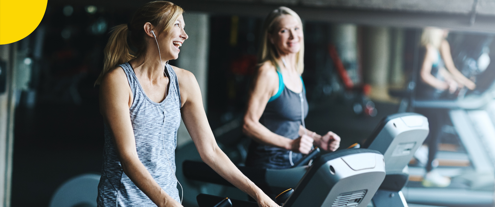 The Power of Daily Fitness A Path to a Healthier and Happier Life